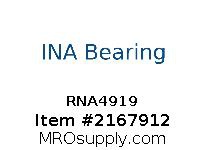 RNA4919