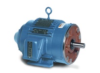 Leeson Electric