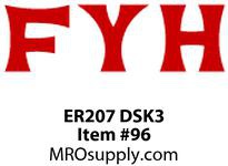 ER207 DSK3