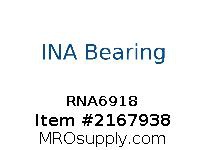 RNA6918