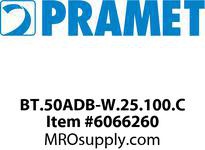 PRAMET
