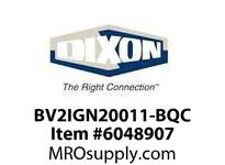 BV2IGN20011-BQC