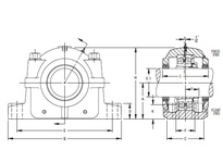 SDAF 22522