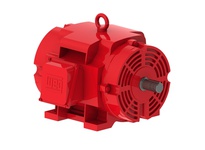 WEG Electric Motor