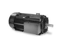 LM22225 5011Ttefc 350Hp1800 230040000/360