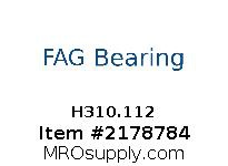 FAG Bearing
