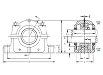 SAF 22520