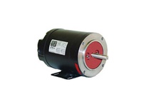 WEG Electric Motor