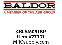 BALDOR CBLSM091KP 30 FT. CABLE ASM. FOR SMARTMOTOR