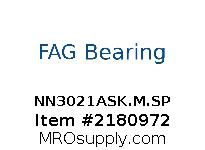 NN3021ASK.M.SP