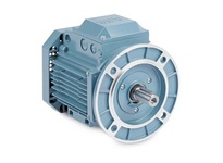 BALDOR EMVM18224D-PP M3BP 180MLB 4P B5 22KW :