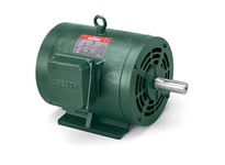 Leeson Electric