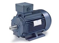 193332.60 50Hp-37Kw 1180Rpm Df250M Tefc 23 0/460V 3Ph 60Hz Cont 40C 1.15Sf B3