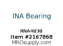 RNA4838