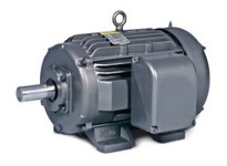 BALDOR EM18194-58 18.5KW 1470RPM 3PH 50HZ D180M 1060M TEFC