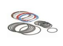 389721 TXT-SCXT-HSCXT-HXT4A-4B SEAL KIT
