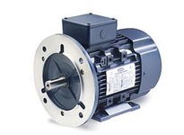 193341.60 5 1/2Hp-4Kw 1180Rpm Df132Md Tefc 230 /460V 3Ph 60Hz Cont 40C 1.15Sf B5