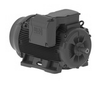 Crusher Duty Motors