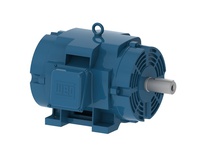 WEG Electric Motor