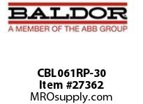 BALDOR CBL061RP-30 RAW POWER CABLE 30 AMP 20 FT