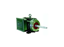 WEG Electric Motor