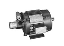 LM04013