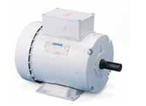 121934.00 2Hp 1745Rpm 145T Tefc 208-230/46 0V 3Ph 60/50Hz Cont 40C 1.25Sf Rigi D.C145T17Fb87A .