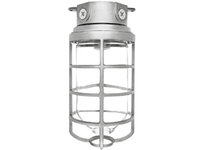 RAB Lighting Vaporproof CFL Outdoor Close to Ceiling Light