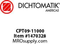 CPT09-11000