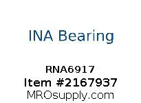 RNA6917