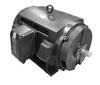 Low and Medium Voltage Motors