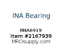 RNA6919