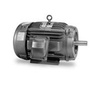 Inverter-Vector Motors