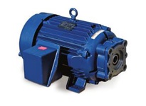 850851.00 50Hp 3600Rpm 326Tyz Tefc 230/460Vac 3Ph 60Hz Cont 40C 1.15 Sf 2 & 4 Bolt Sae Bb